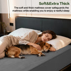 EMONIA 100% Waterproof 4 Layer Mattress Protector, Quilted Fitted Mattress Pad Cover, Durable, Breathable & Noiseless, Soft and Comfortable with 8''-21'' Deep Pocket(Dark Gray)