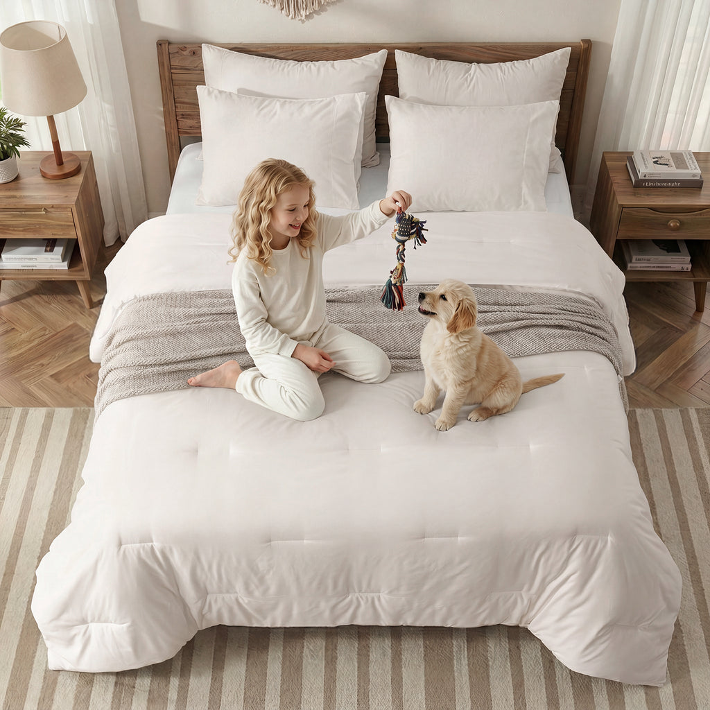 EMONIA 3-Piece Queen Comforter Set,Soft & Cozy Washed Brushed Micro-Poly Down Alternative Bedding Set,Lightweight Fluffy Reversible Bed in a Bag